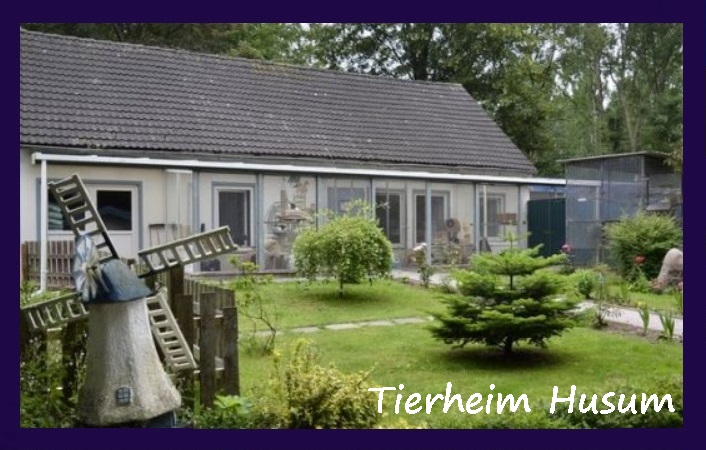 Logo Husum Foto Tierheim Husum